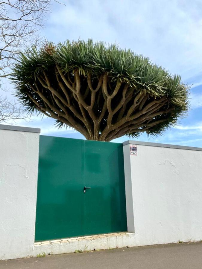 アングラ・ド・エロイーズモ Casa As Seteヴィラ エクステリア 写真